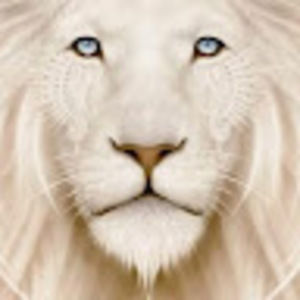 Meet your Posher, Ramon a.